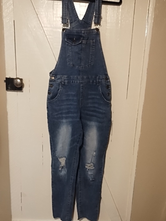 The Unbranded Brand Denim - Women’s Blue Denim Distressed Overalls VGC Tattered Size Large.